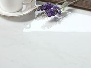 Da telha moderna branca da porcelana de Carrara uso interno e exterior do assoalho e da parede