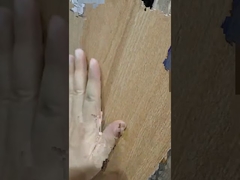 Introdução da cerâmica série madeira 200x1200mm