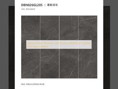 Painéis de Azulejo de Porcelana Internos Elegantes em Branco para Soluções de Pavimentação Duráveis