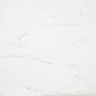 Telha da porcelana de Carrara, parede da sala de visitas da cozinha e telhas de assoalho de mármore brancas