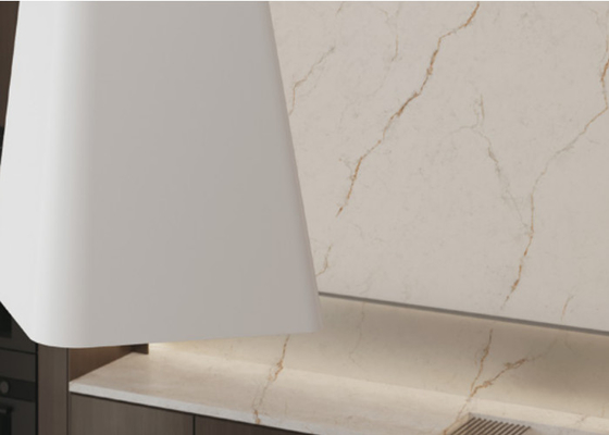 3-Patrão resistente a arranhões azulejos de porcelana de piso à prova de manchas painéis interiores < 0,5% absorção de água