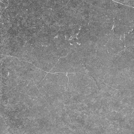 Grey Exquisite Modern Porcelain Tile 15 testes padrões múltiplos para a sala de jantar