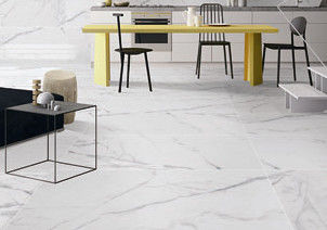 Telha resistente da porcelana 24x48 de Frost, telha de mármore da porcelana do estilo