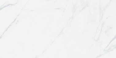 Desgaste lustrado Digitas vitrificado da telha de assoalho do mármore de Carrara - telha moderna resistente da porcelana
