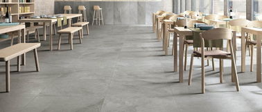 Telha de pedra resistente aos ácidos da porcelana do olhar de Grey Matt Finish Tiles For Walls