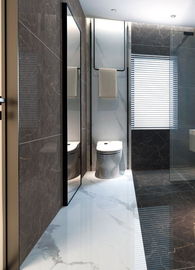 de 750*1500mm da parede elevada precisão durável da telha da porcelana do deslizamento não decorativa