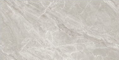 Grey Gloss Bathroom Ceramic Tile conservado em estoque 36*72 avança a sala lustrada interna de ForLiving