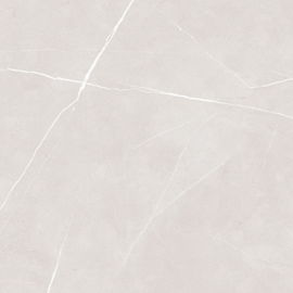 Fora do banheiro branco as polegadas azulejo/24*24 deslizam não telhas de Matt Finsh Floor And Wall