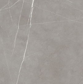 Telha feita sob encomenda da porcelana do olhar do cimento 60*60/assoalho durável e antiderrapante Matt Tile cerâmico