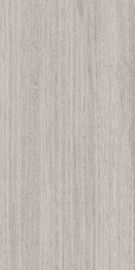telha moderna externo da porcelana das telhas de assoalho da porcelana de 1200x2400 Matt Glazed Large Format Grey
