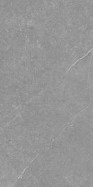 Tendendo a grande porcelana interna as telhas formatam a telha da porcelana de Grey Concrete Look Matte Finish do cimento em 600 X1200mm