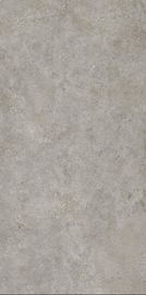 Telha de assoalho da porcelana da sala de visitas de Grey Full Matt Surface 1200x2400