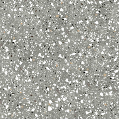As telhas 800x800mm internas concretas da porcelana da garagem vestem - resistente